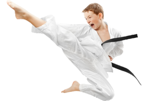 Karate PNG-55476